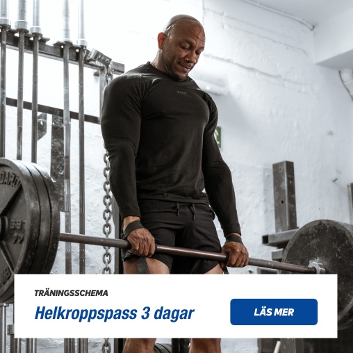 Trningsschema: Helkroppspass 3 dagar